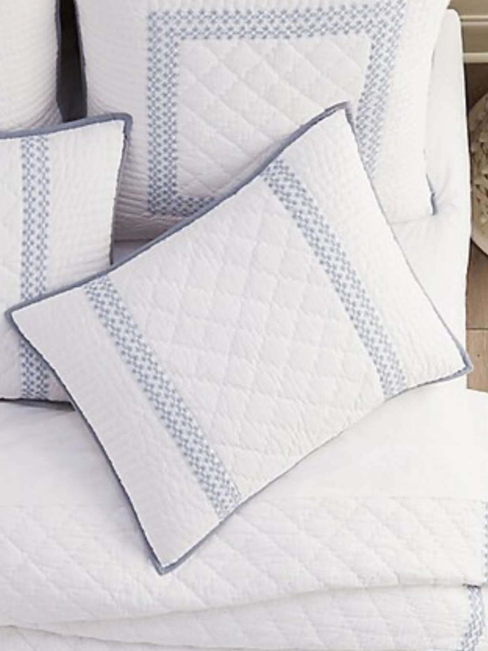 Ballard Designs Lulu Embroidered Quilted King Sham, 20 x 36”